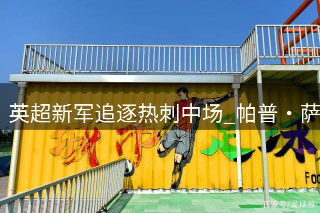 英超新军追逐热刺中场 帕普·萨尔或压哨转会